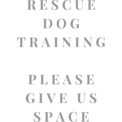 Rescue Dog In Training 2 Thumbnail